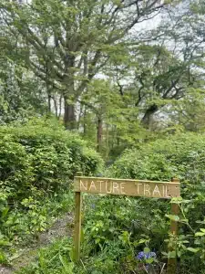 A 'Nature Trail' sign next to a path in the woods