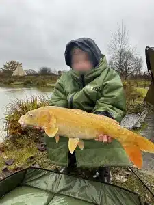 A boy crouching down at the edge of a lake holding a large fish that he has caught