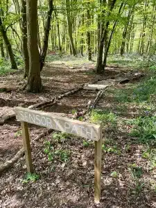 A pathway leading through the woods with a sign saying 'Sensory Path'