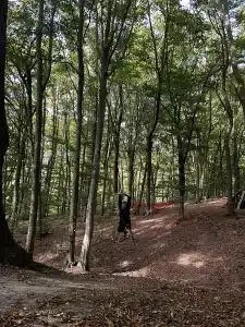 A boy swinging on a rope swing in the woods